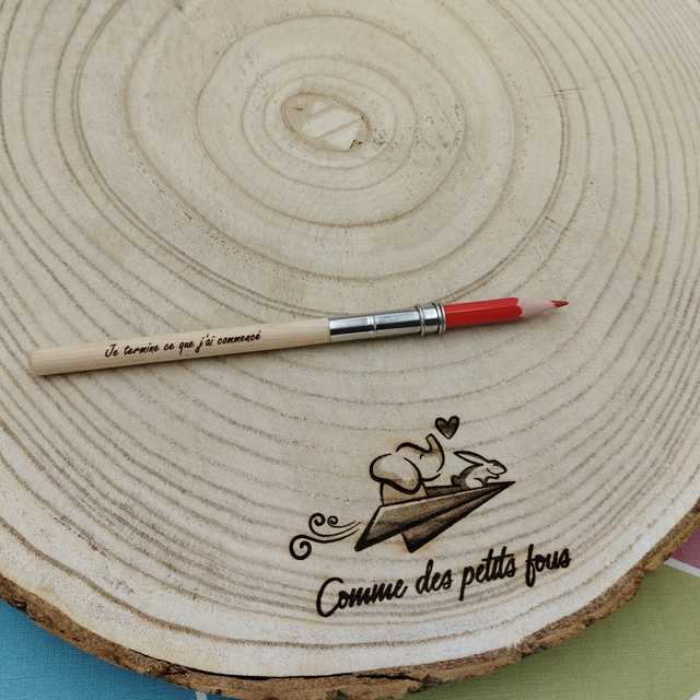 Porte crayon de couleur et crayon à papier